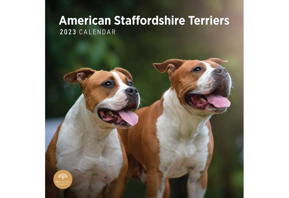 American Staffordshire Terrier Dog Calendar | 2023 Dog Calendars