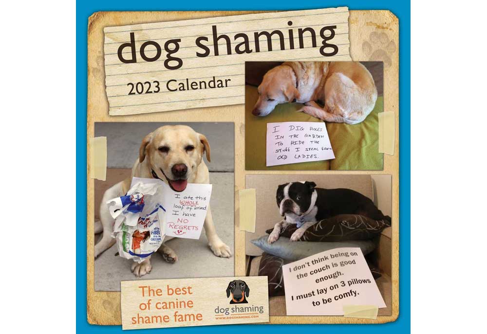 Dog Shaming Wall Calendar 2023 | Dog Art Print