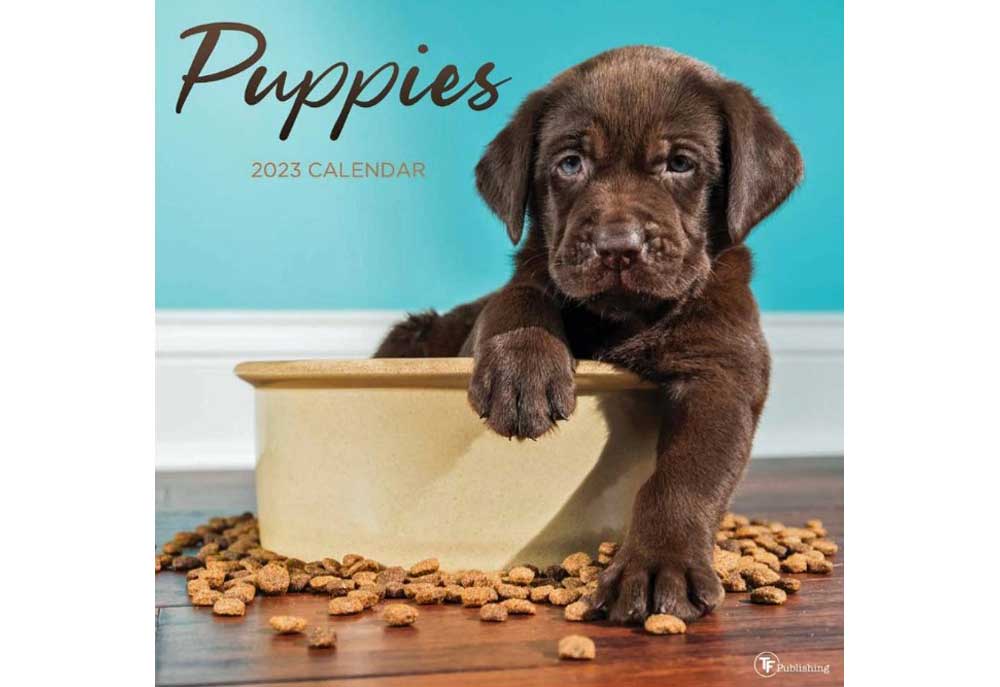 2023 Puppies Wall Calendar | Calendars of Dogs and Puppies