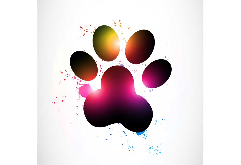 Clip Art of a Colorful Dog or Animal Paw Print | Dog Clip Art Pictures