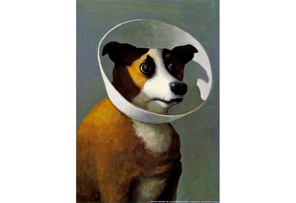 Dog Poster Filmhound by Michael Sowa - Conehead Dog | Dog Posters and Prints