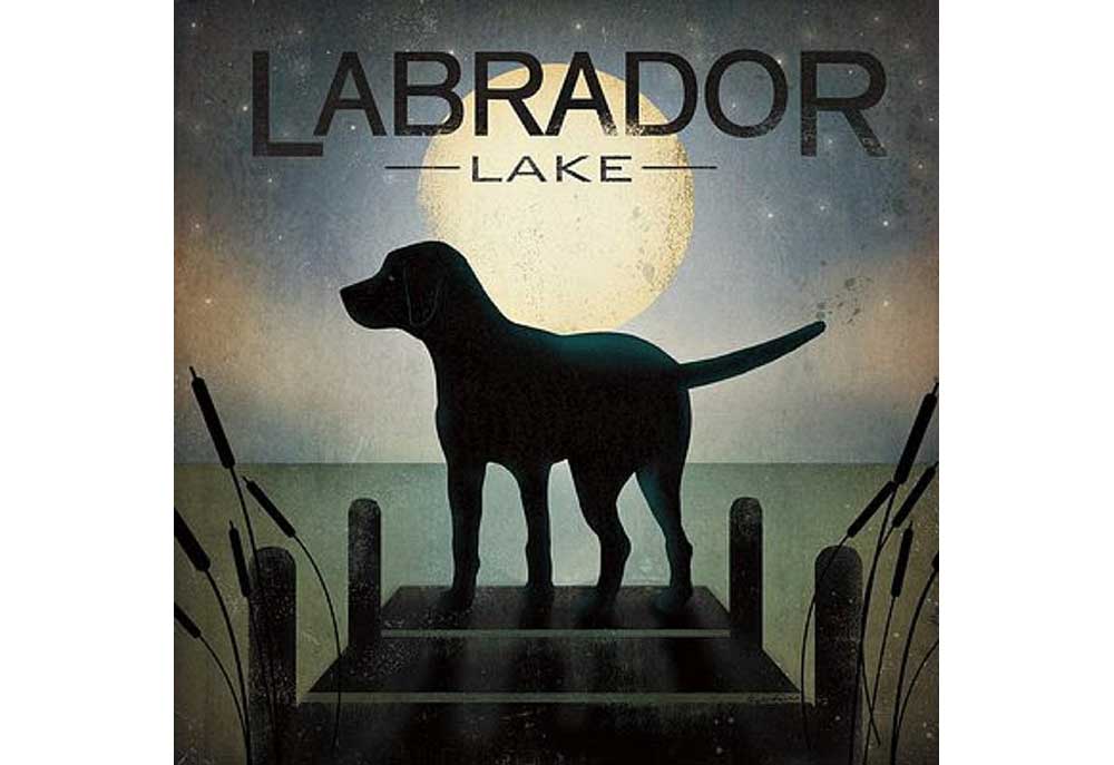 Labrador Lake Poster by Ryan Fowler | Dog Poster Prints