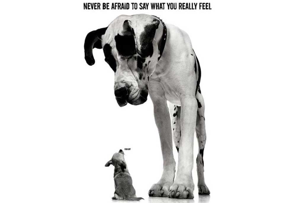 Never Be Afraid to Say What You Really Feel | Big Dog Little Dog Poster
