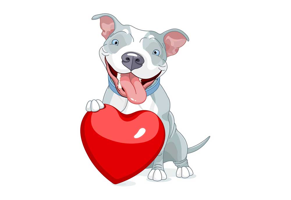 Valentine Day Pit Bull Dog with Heart | Dog Clip Art Pictures