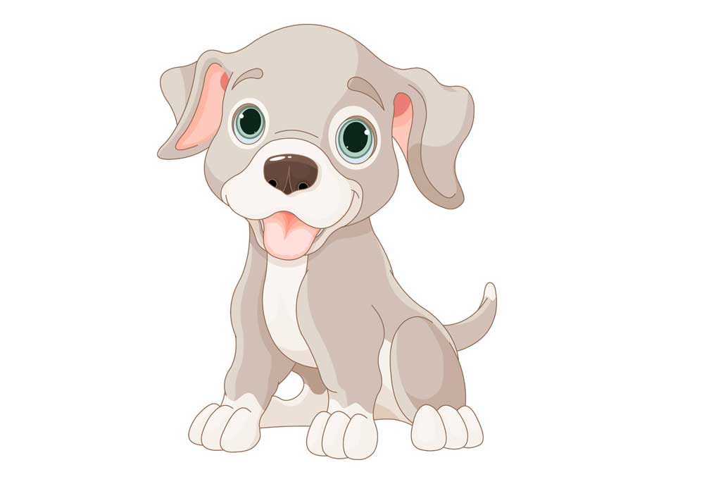 Clip Art of Grey Puppy Dog Sitting Isolated on White | Clip Art Pictures Images