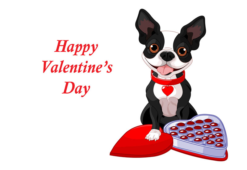 Boston Terrier Clip Art Dog with Valentine Heart Candy Box