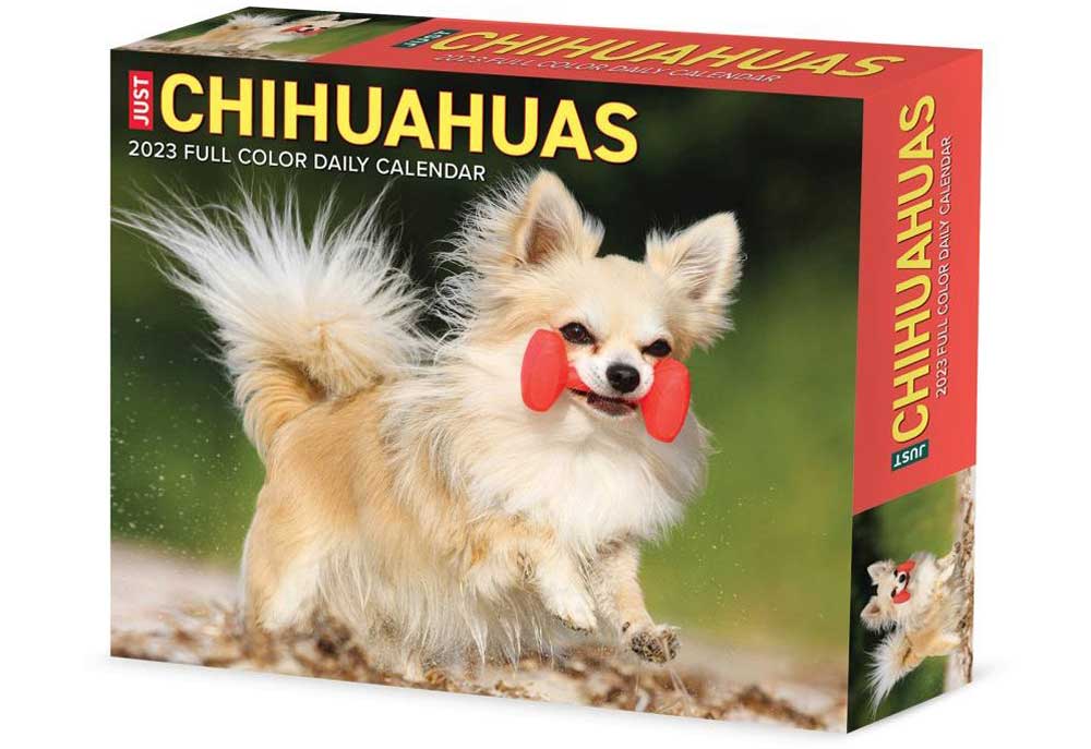 Chihuahua Dogs 2023 Desk Calendar | Dog and Puppy Calendars
