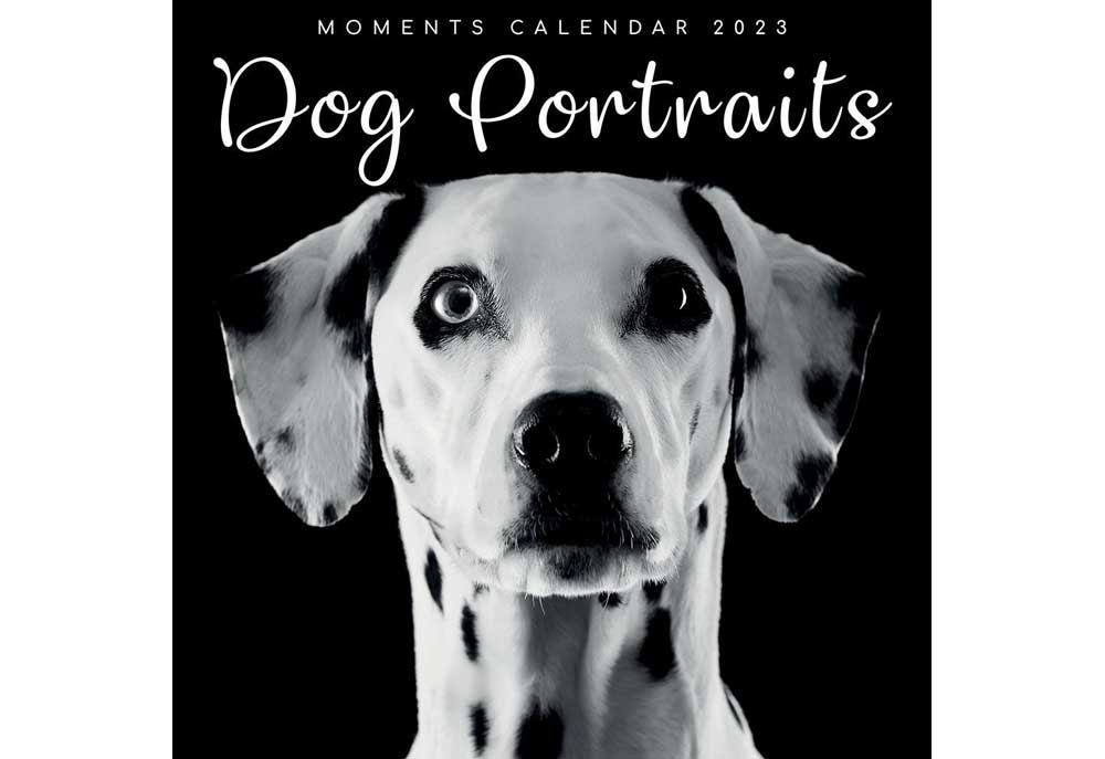 Dog Portraits 2023 Wall Calendar | Dog and Puppy Calendars