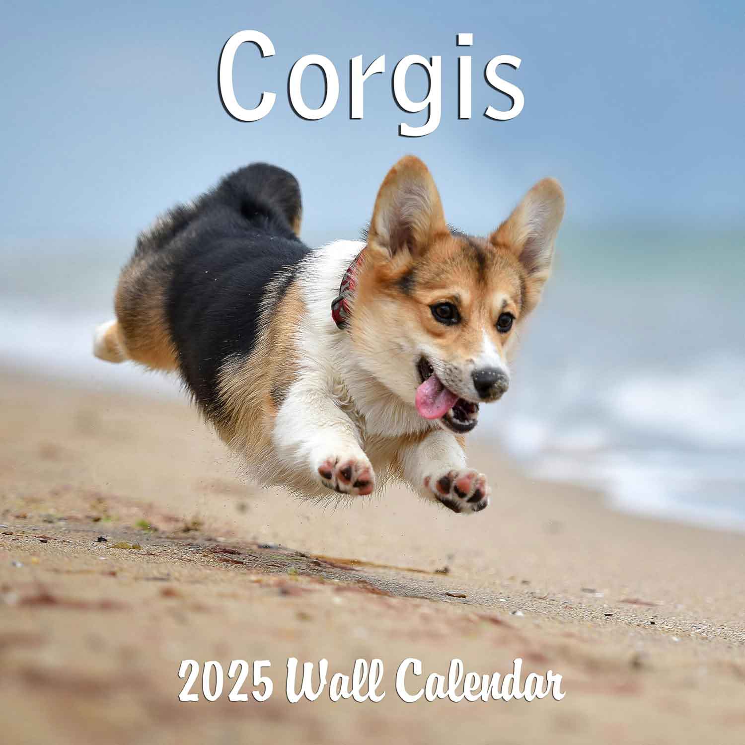 2025 Corgis Dog Calendar | Calendars of Dogs