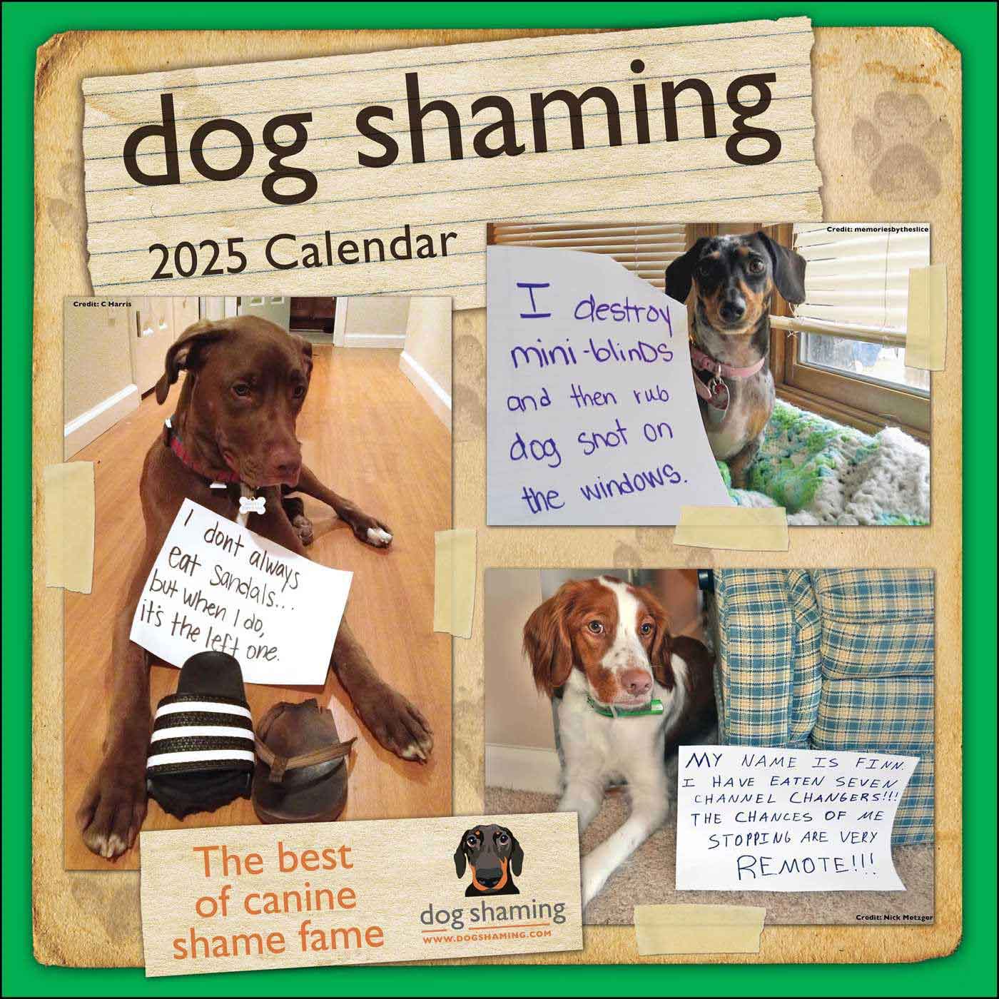 Dog Shaming Wall Calendar 2025 | Dog Art Print