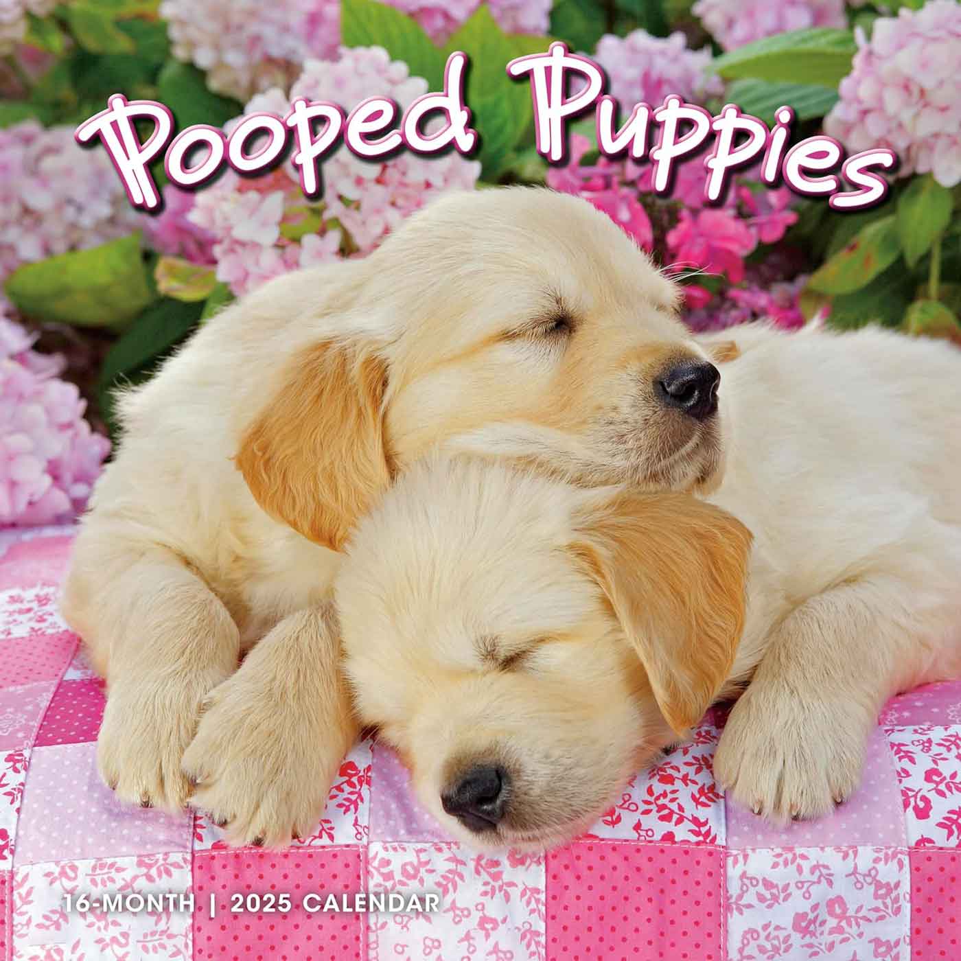 A 2025 Wall Calendar of Pooped Puppy Dogs | Calendars of Dogs and Puppies