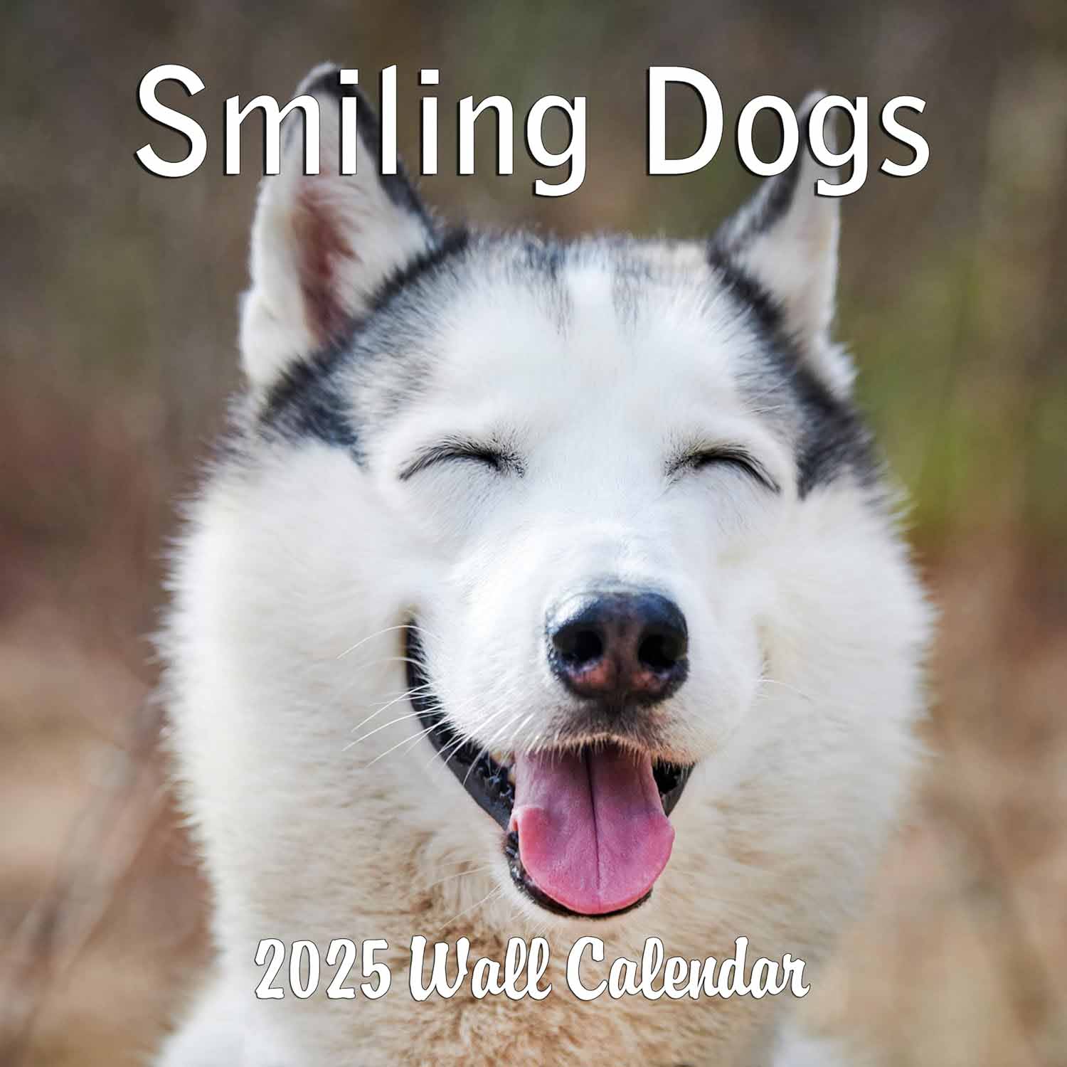 2025 Smiling Dogs Wall Calendar | Dog and Puppy Calendars